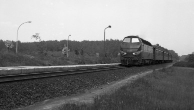 DIEU F0260 - Sauvegarde (2).jpg